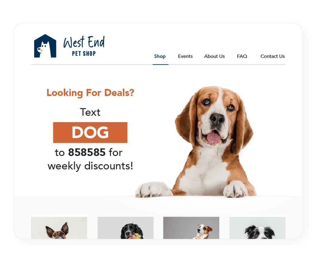 pet care