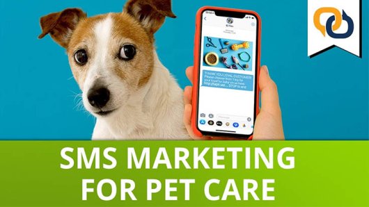 Pet Care Video Thumbnail